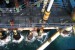 Malaysia’s IEV to Supply MGP Technology for Four Offshore Platforms